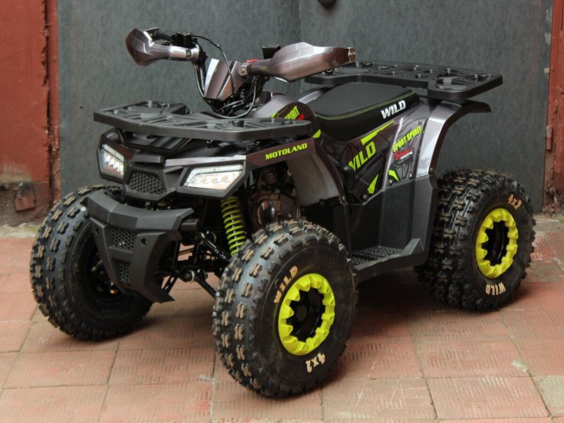Квадроцикл мотолэнд 125 Wild