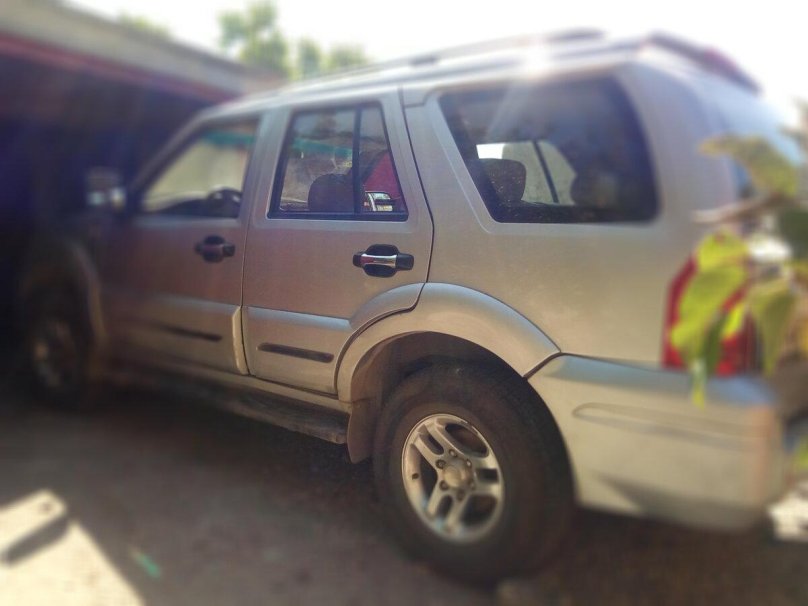 Tianma Century, 2006