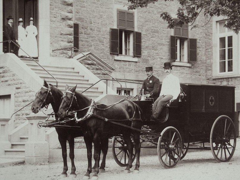 Лошадь скорая помощь