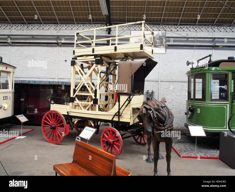 Hippomobile современные