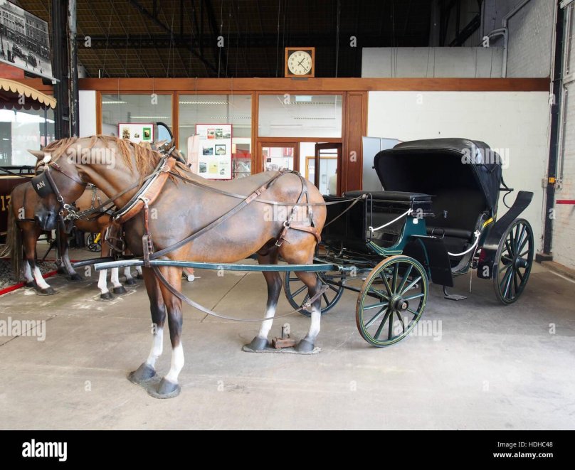 Hippomobile современные