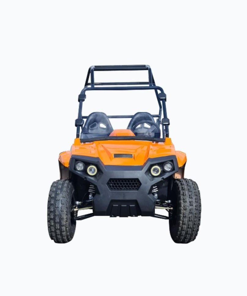 Багги Sport UTV Strike 250
