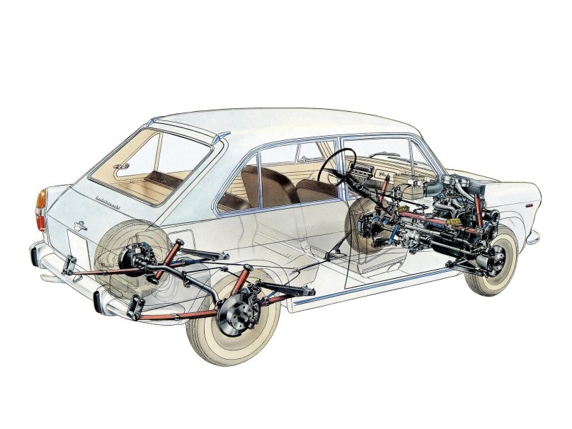 Аутобьянки примула