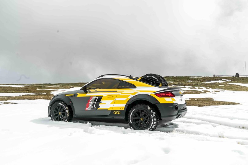 Ауди ТТ сафари