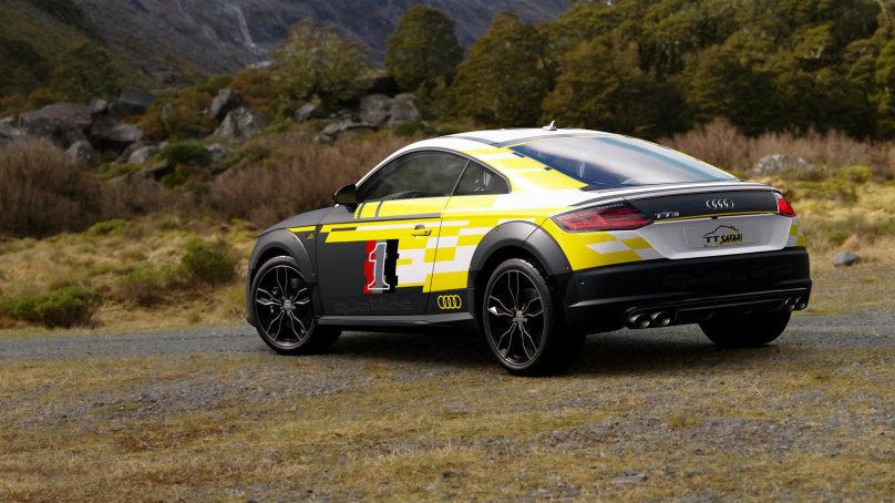 Ауди ТТ раллийная