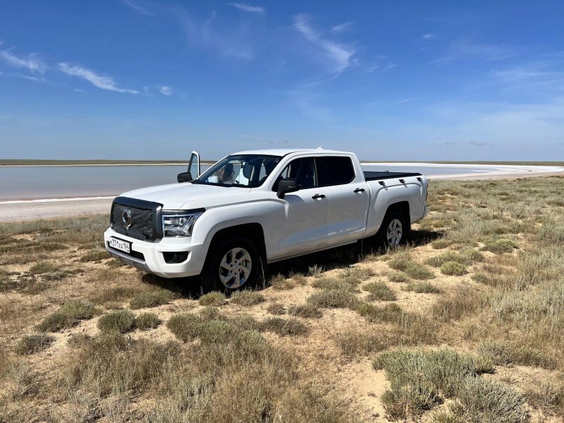 Great Wall King Kong