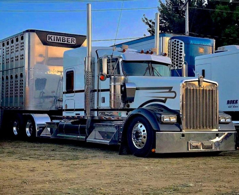 Kenworth w900l Custom