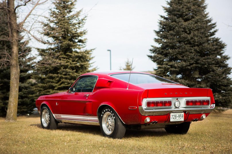 Shelby gt500kr 1968
