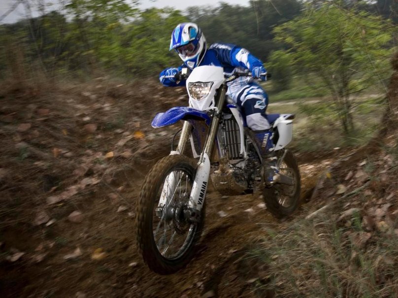 Yamaha wr450f