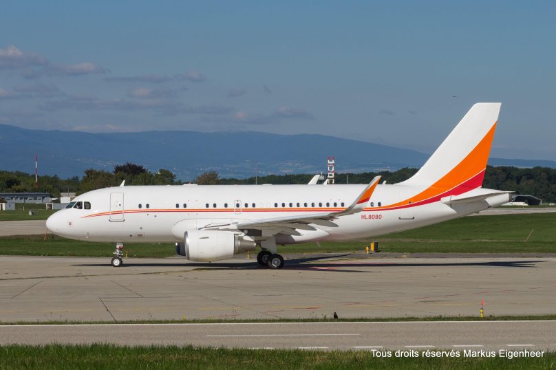 А319 с винглетами