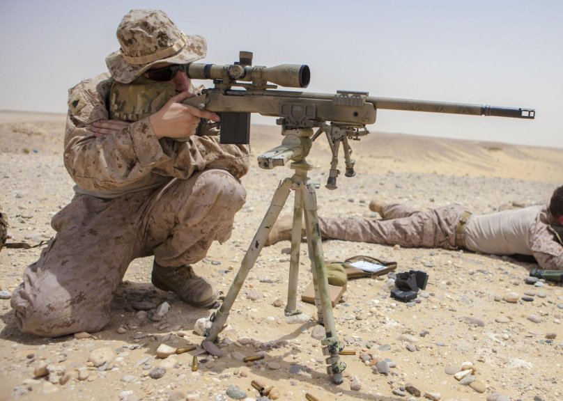 Снайперская винтовка армии США