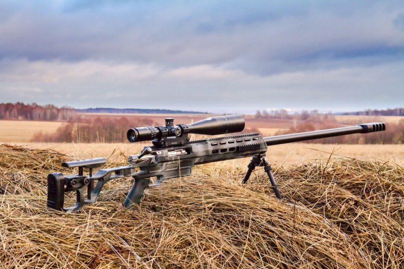 Винтовка Лобаева сумрак