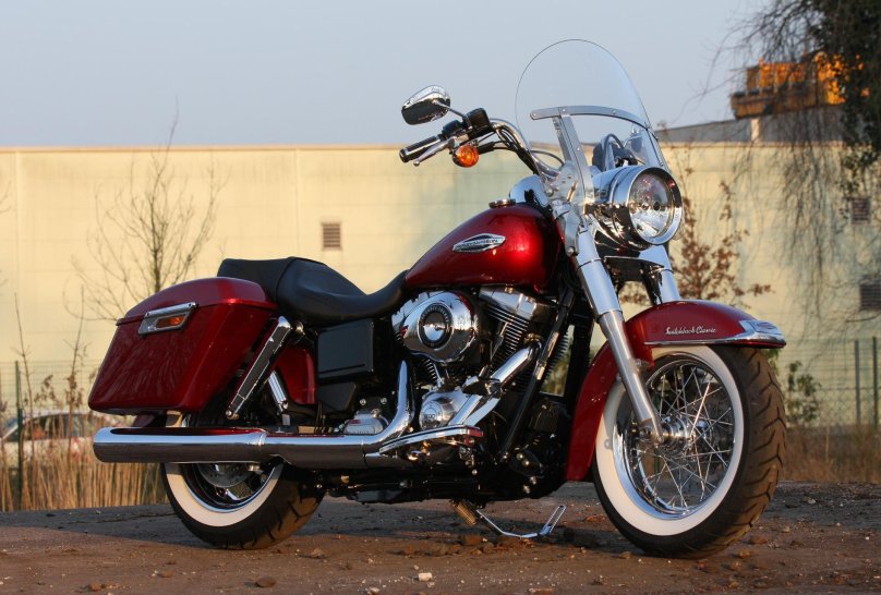 Dyna Switchback Custom