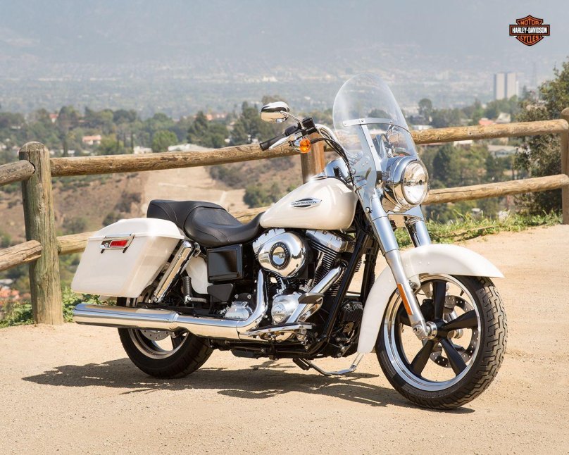 Dyna Switchback Custom