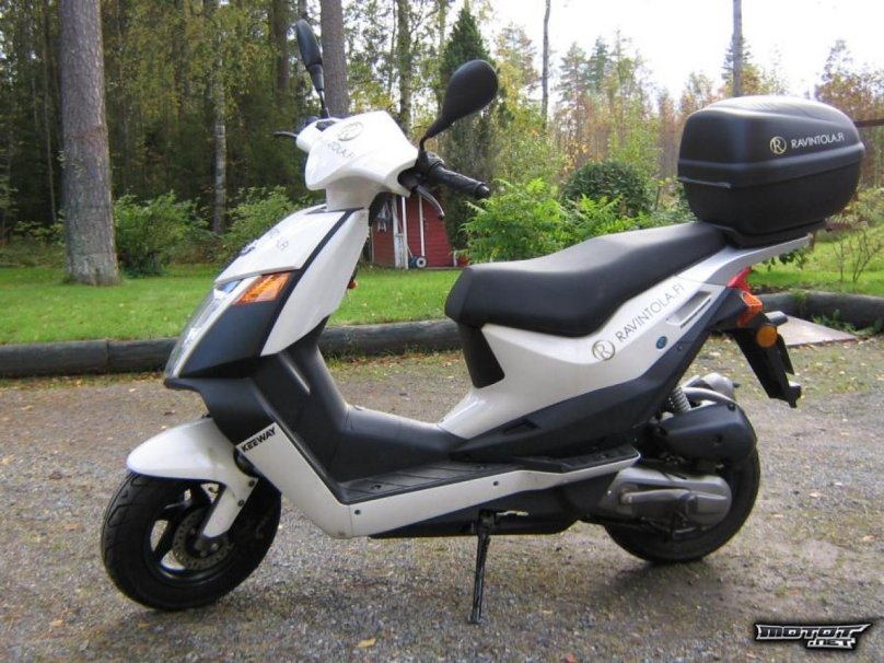 Кивей флеш 50