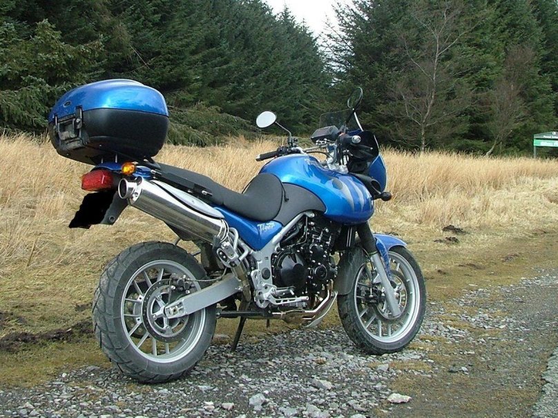 Триумф Тайгер 955