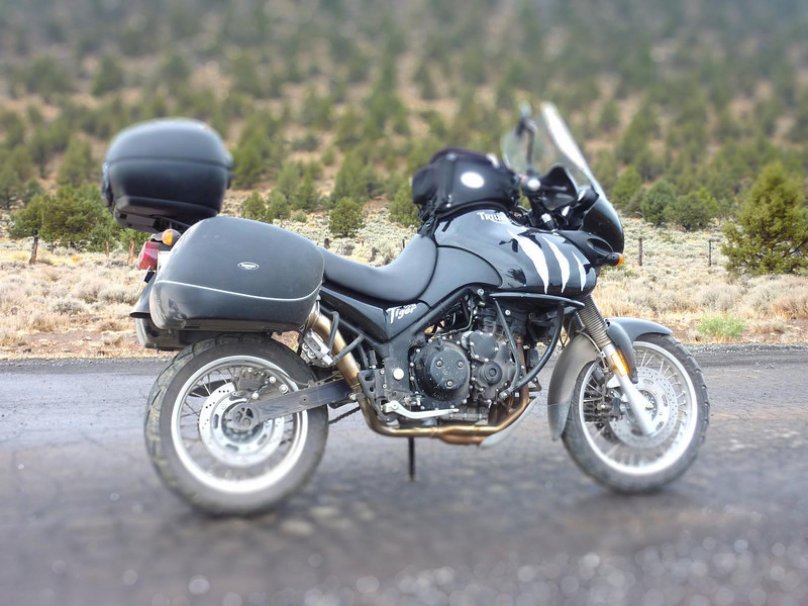 Триумф Тайгер 955i