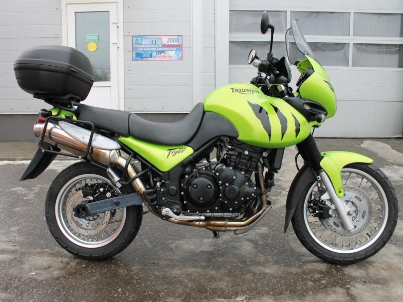 Триумф тигр 955i