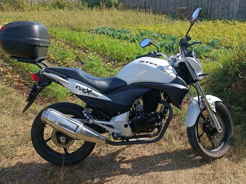 Мотоцикл стелс Флекс 250