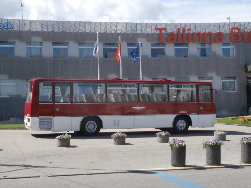 Икарус 255 в Туле