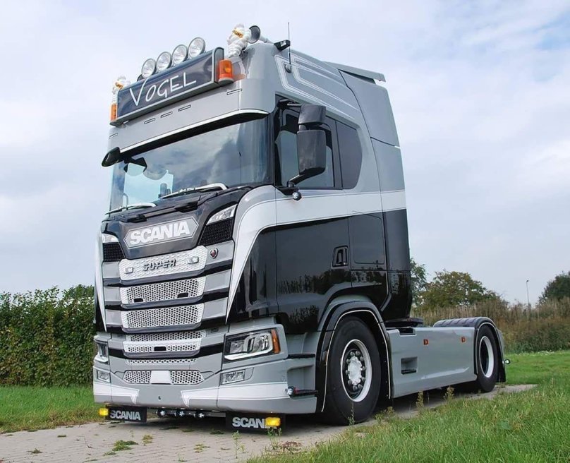 Скания Holland Style