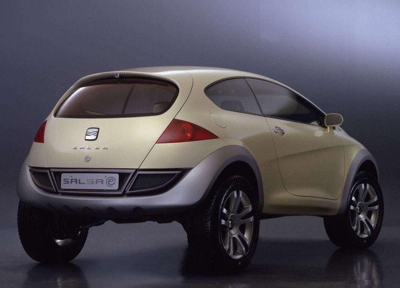 Сеат концепт