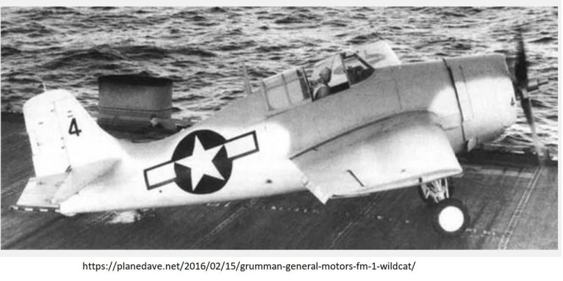 Fm-1 Wildcat