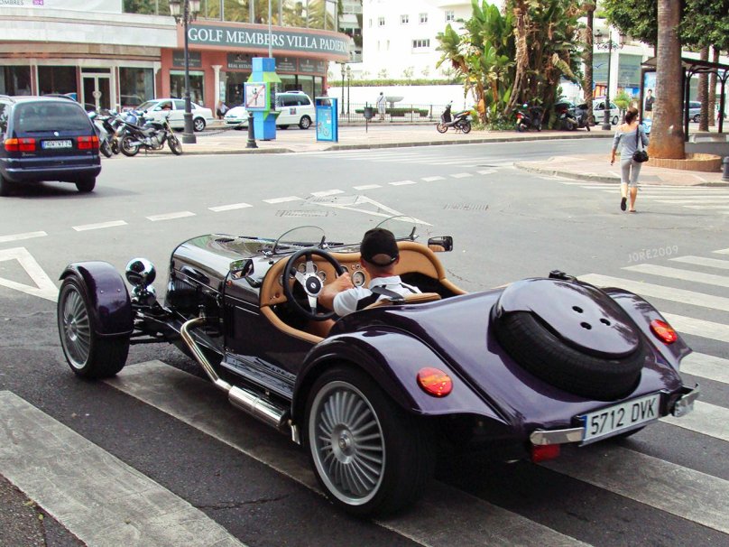 Marlin Sportster родстер