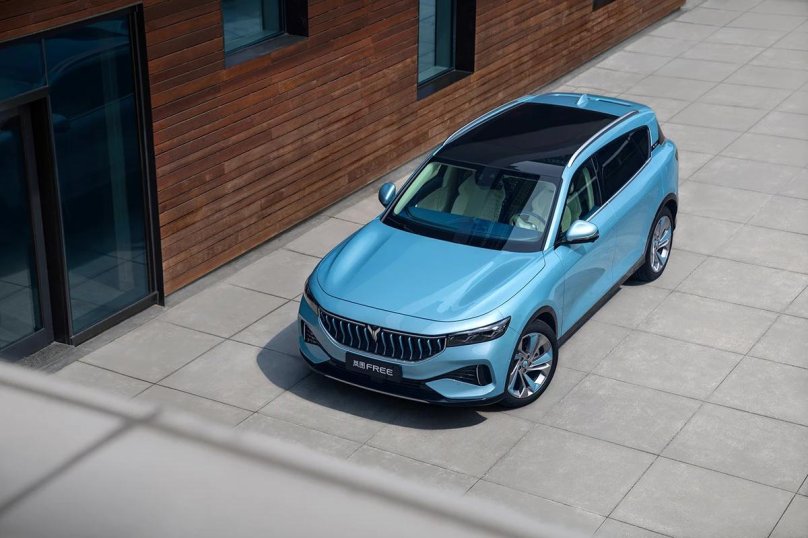 Вояж фри гибрид