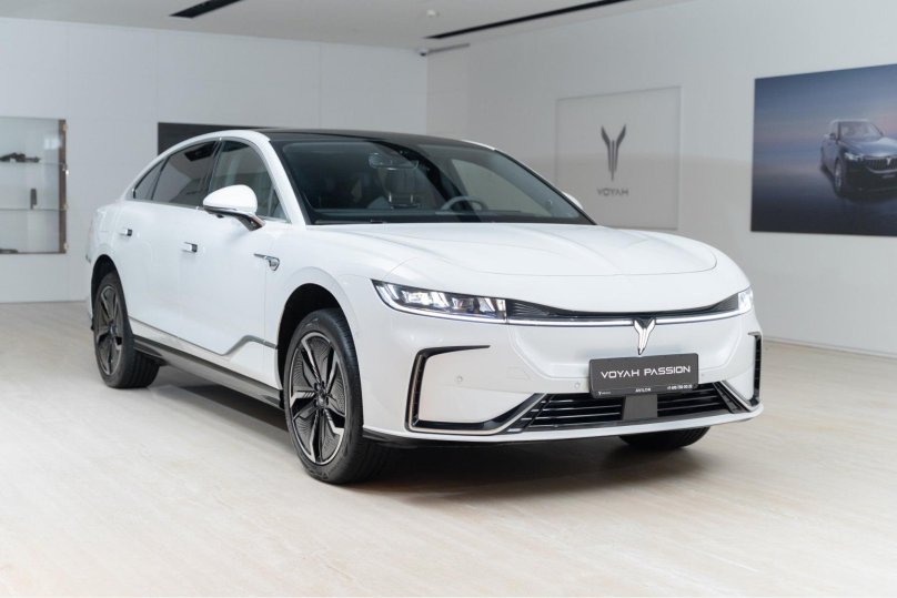 Voyah passion ev, 2023 люк