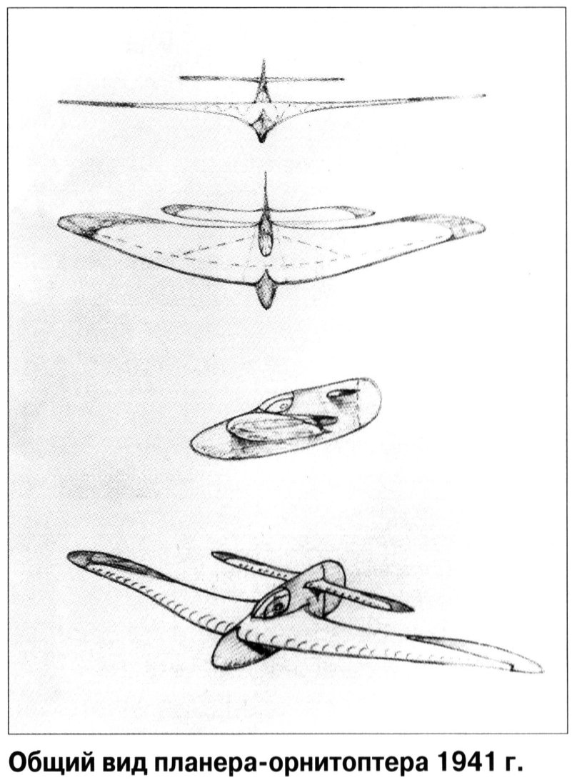 Бич 18 орнитоптер
