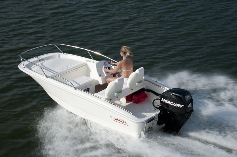 Лодка Boston Whaler