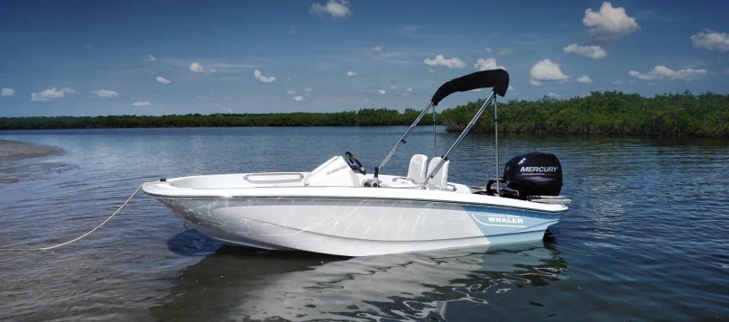 Boston Whaler катер