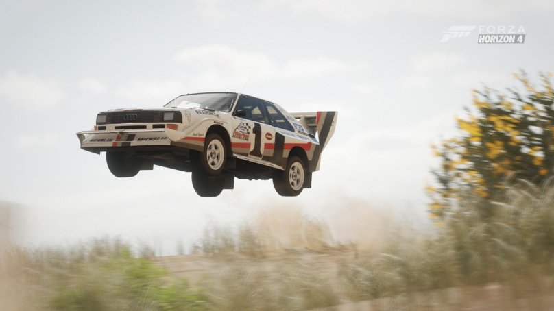 Dirt Rally Audi quattro