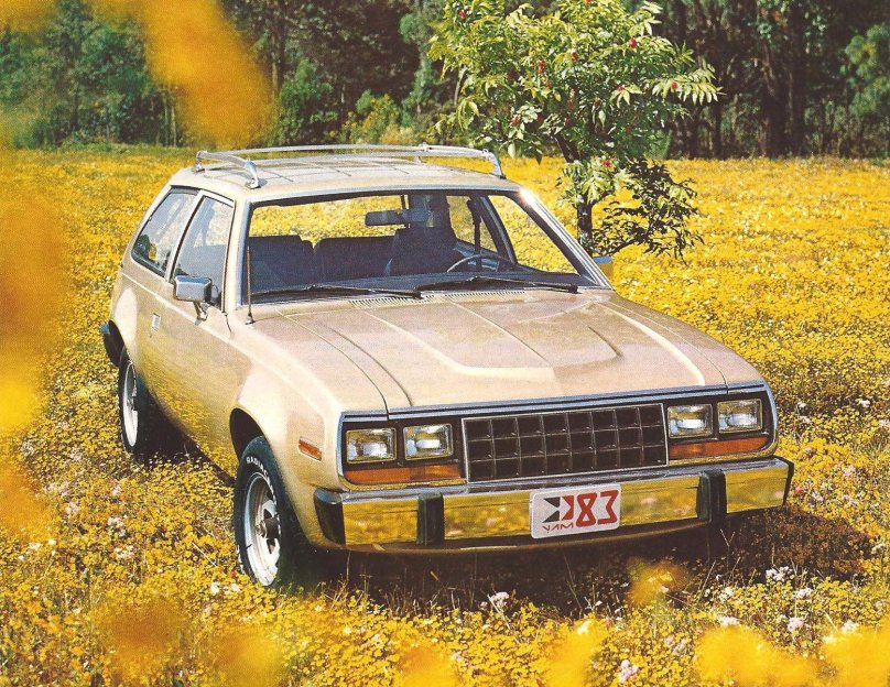 АМС Гремлин 1979