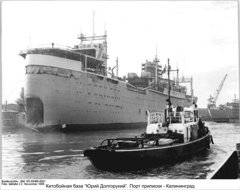 Юрий Долгорукий Китобойная база