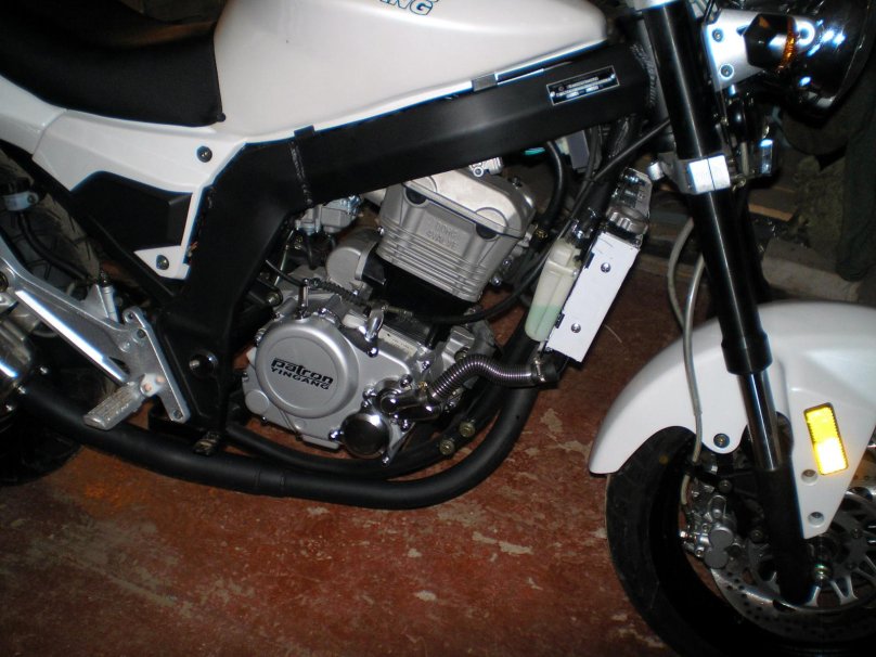 Yingang patron Taker 250