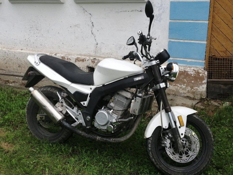 Фото patron Taker 250