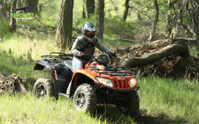 Arctic Cat atv 700