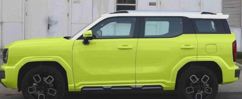 Хавал кул дог