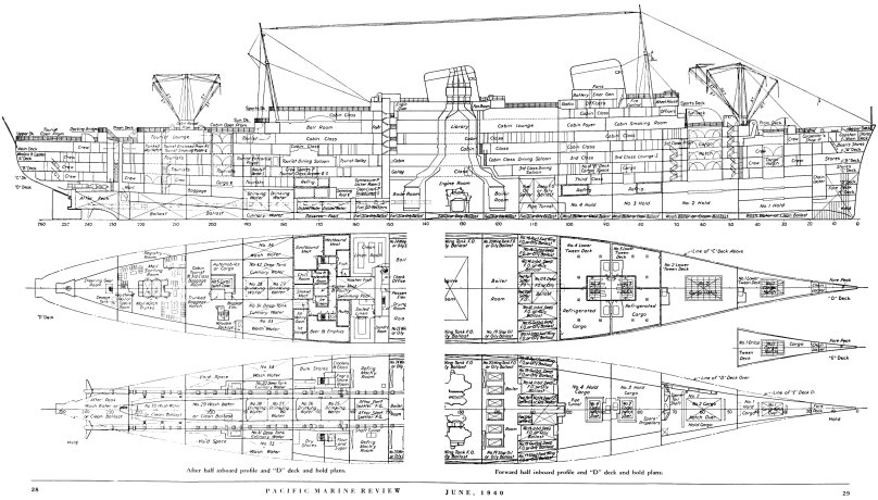 SS America чертеж