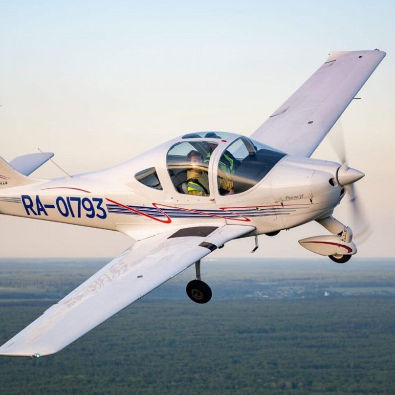Tecnam p2006t Cockpit