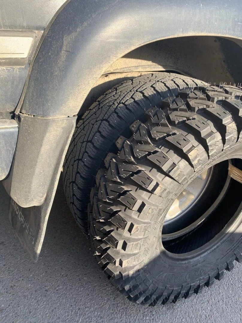 Кинг Кобра 833