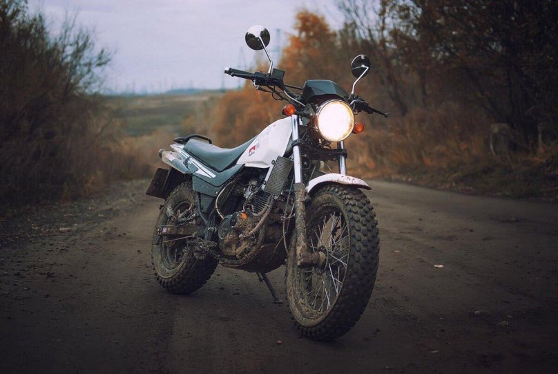 Десна 220 Фантом