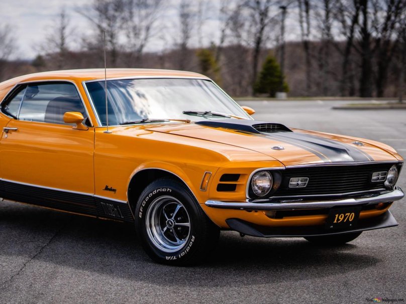 Ford Mustang Mach 1 1970