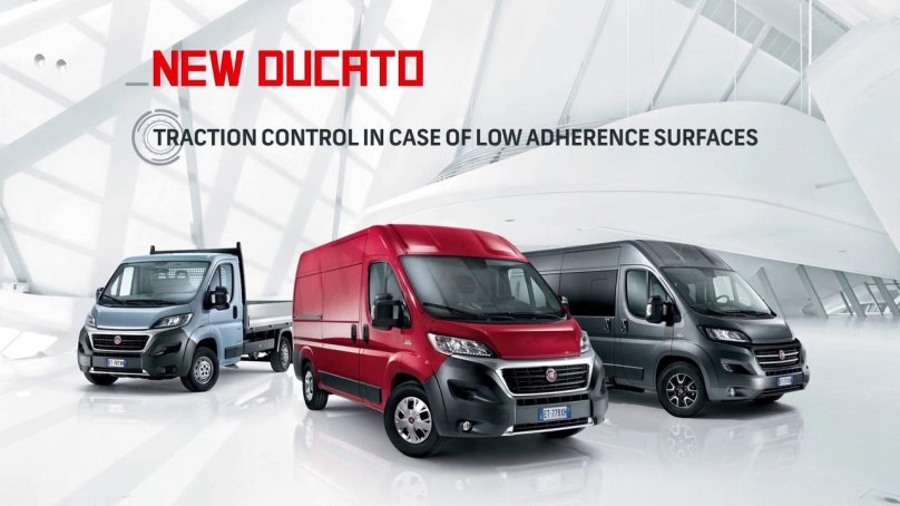 Мэйджор цветочный Фиат