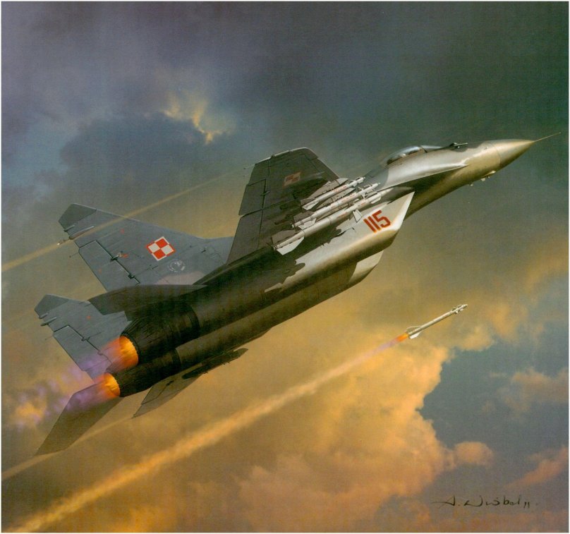 Боевая раскраска миг 29