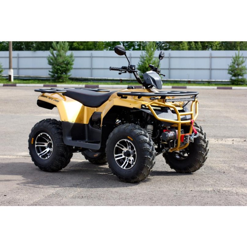 Ирбис АТВ 200