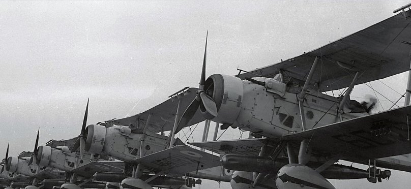 Виккерс Вайлдбист