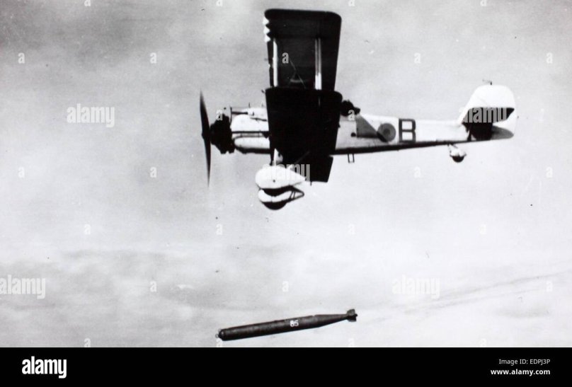 Вайлдбист самолет